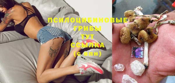 винт Аркадак